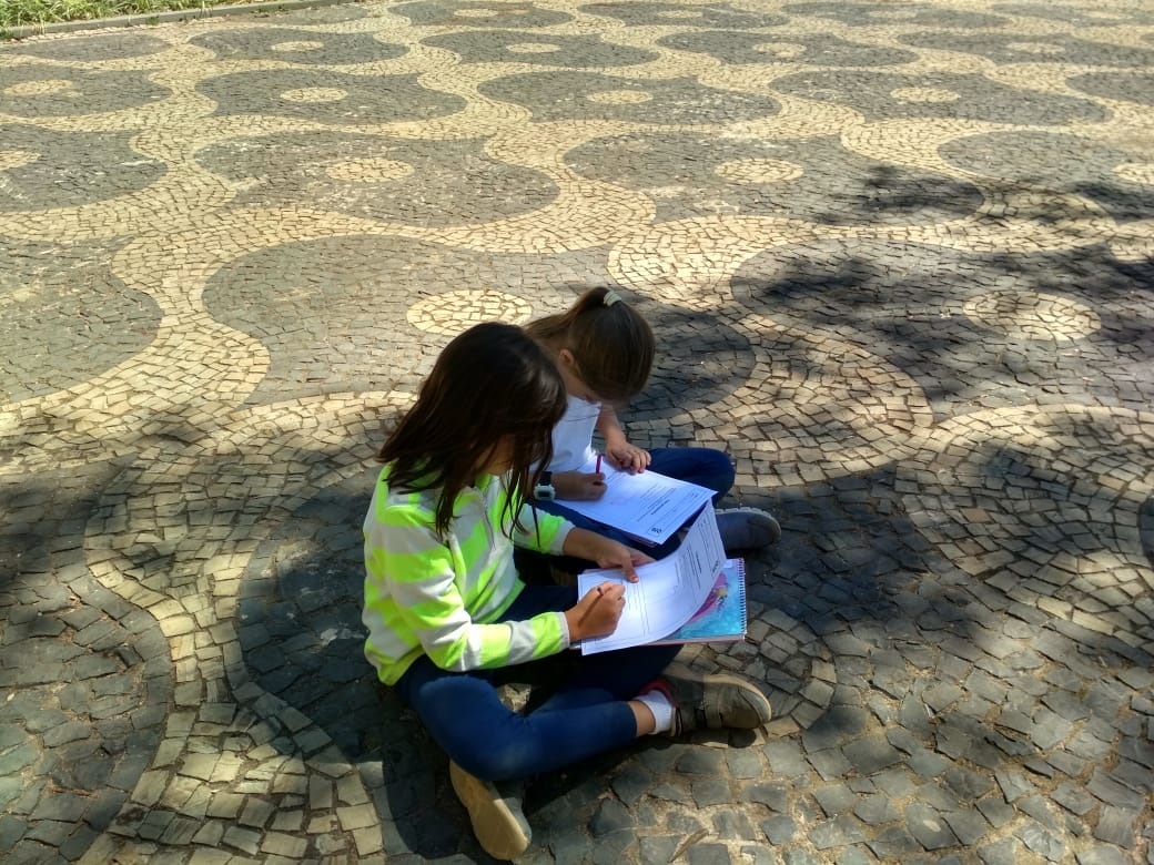 A importância do trabalho pedagógico no Ensino Fundamental I e II